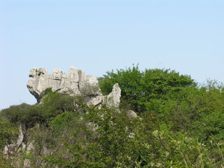 广安华蓥山旅游区