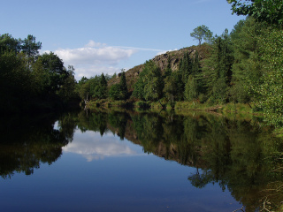 布劳赛良德森林