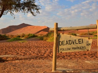 大沙漠荒野公园