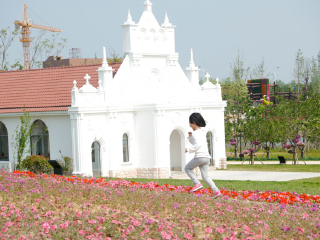 杭州湾海上花田景区