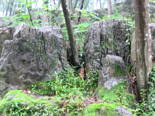 八公山国家地质公园