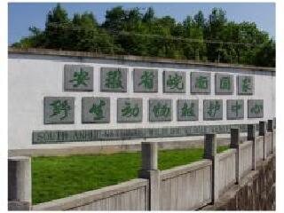 皖南野生动物园