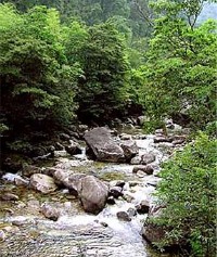 景点图片