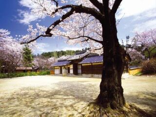 南怡岛综合休养地