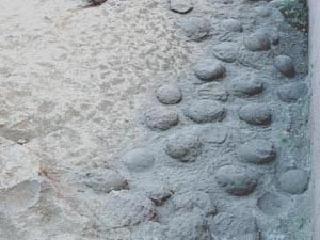 青龙山恐龙蛋化石群