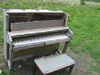 大关岭羊群牧场