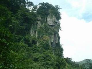 良凤江国家森林公园