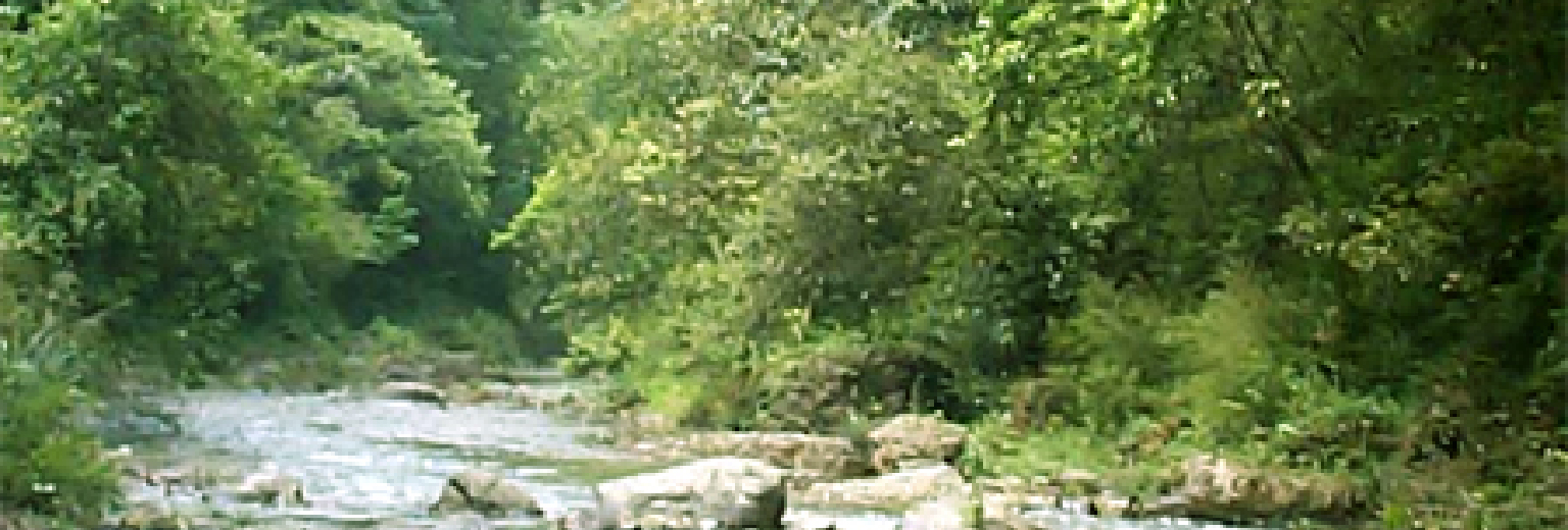 21 蛤蚌河原始生态游风景区旅游攻略 蛤蚌河原始生态游风景区自助游攻略 蛤蚌河原始生态游风景区出游行程游记 途牛攻略