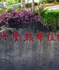 景点图片