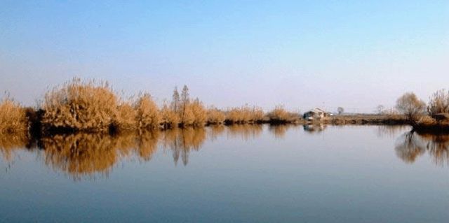 叶池风景图片