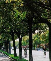 景点图片