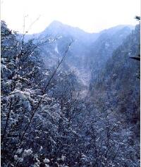 景点图片