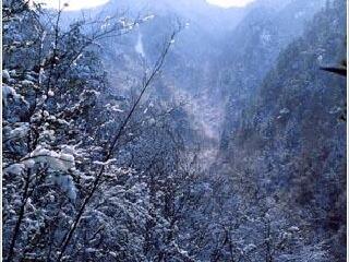 雉岳山国立公园