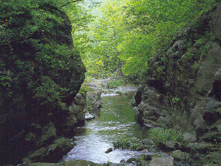 天台山