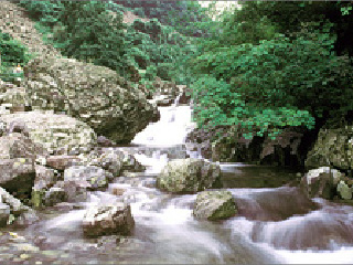 宜宁碧溪观光地