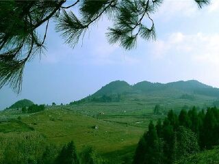 千野草场