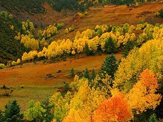 红拉山自然保护区