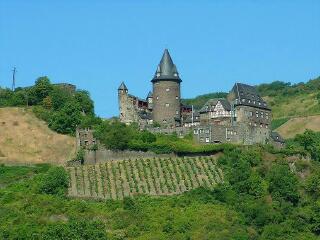 莱茵河畔森林公园