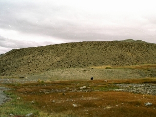 都兰贝壳梁景区