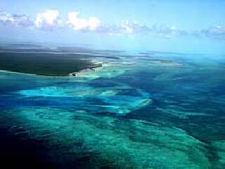 安德罗斯岛珊瑚礁