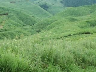 阿苏自然农场乐园