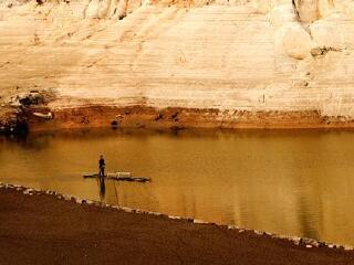 草鱼塘森林公园