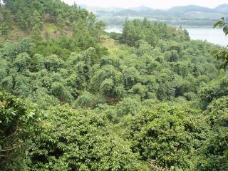 三门江国家森林公园