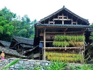 百越民族文化村