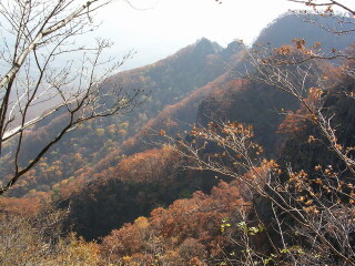 拉法山国家森林公园