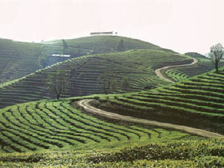 法城自然生态风景区