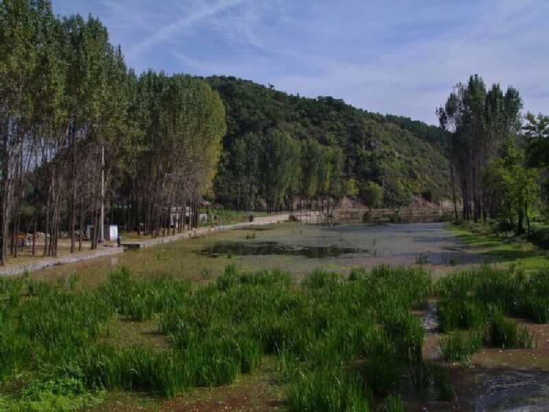 安徽 蚌埠 怀远县 圣泉