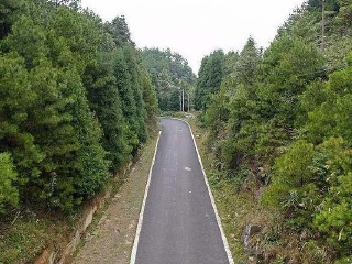 大垭口森林公园