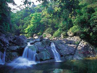 十万大山国家森林公园