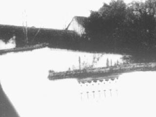 张玉娘与兰雪井