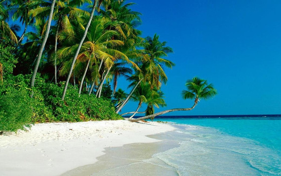中沙群岛风景图片