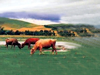 蒲洼天龙狩猎场