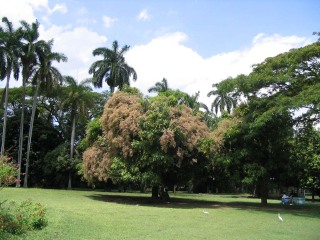希望植物园