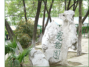 景点图片