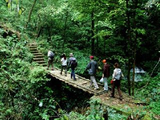 车八岭国家级自然保护区