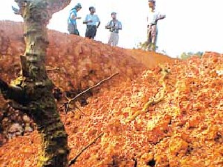 阎家岗旧石器时代遗址