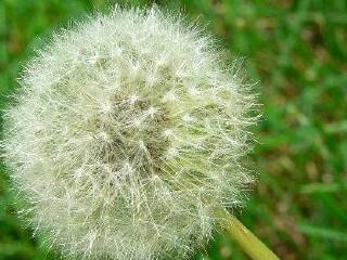 绿岛旅游度假区