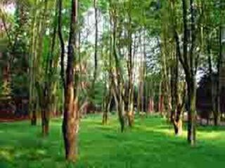 舜耕山国家森林公园