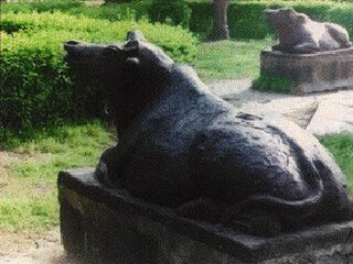 洪泽湖镇水铁牛