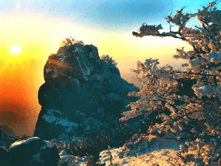 青岛城阳世纪公园