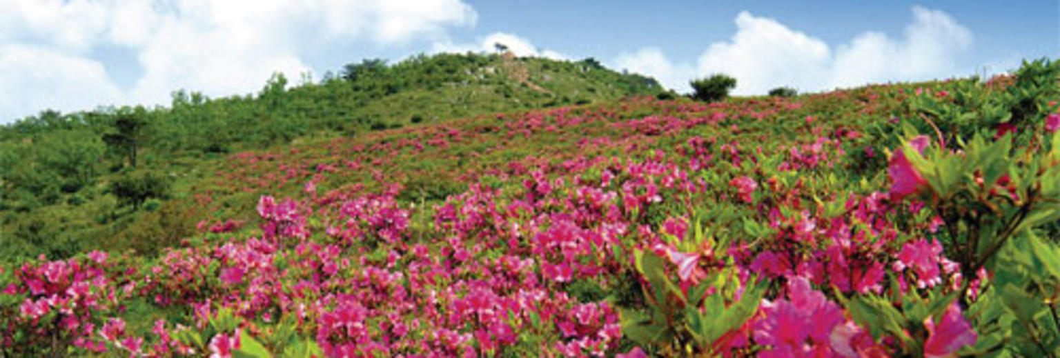 21 神鱼山旅游攻略 神鱼山自助游攻略 神鱼山出游行程游记 途牛攻略