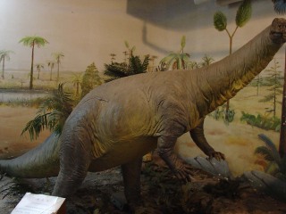 禄丰恐龙博物馆