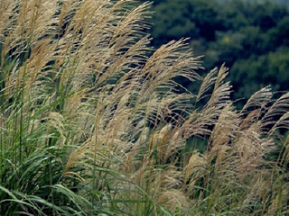 皇姑坨旅游风景区