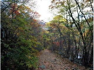 小白山国立公园