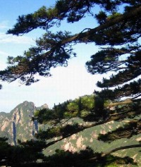 景点图片