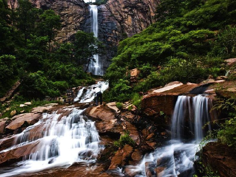 黄山牯牛降自然保护区旅游图片
